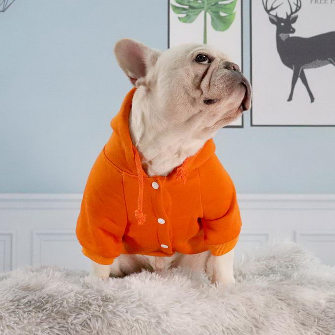 Dog Sweatshirt Mixed Brands ID:20230105-81